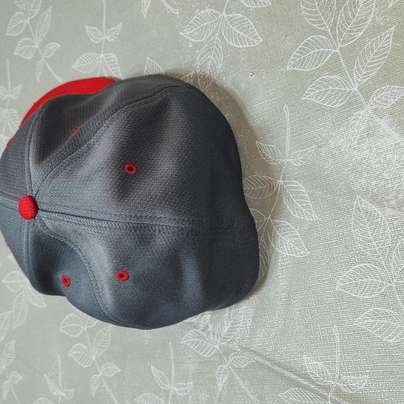 Fort Wayne Tin Caps Hat - Picture 4 of 8